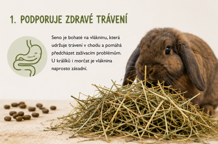 Seno pomáhá udržovat v chodu trávení